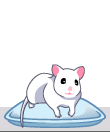 ӂӂ肵ۃnEDX11