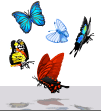 ̍